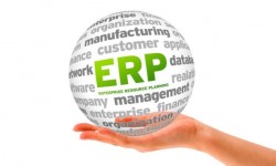 Cosa cercano le azienda dai software gestionali aziendali (ERP)?