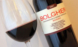 Bolgheri e i vini toscani