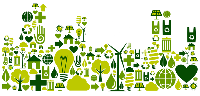 Green Economy, sostenibilita’ e certificazioni ambientali: la CFP