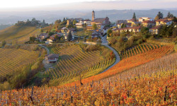 Le langhe e i vini Piemontesi