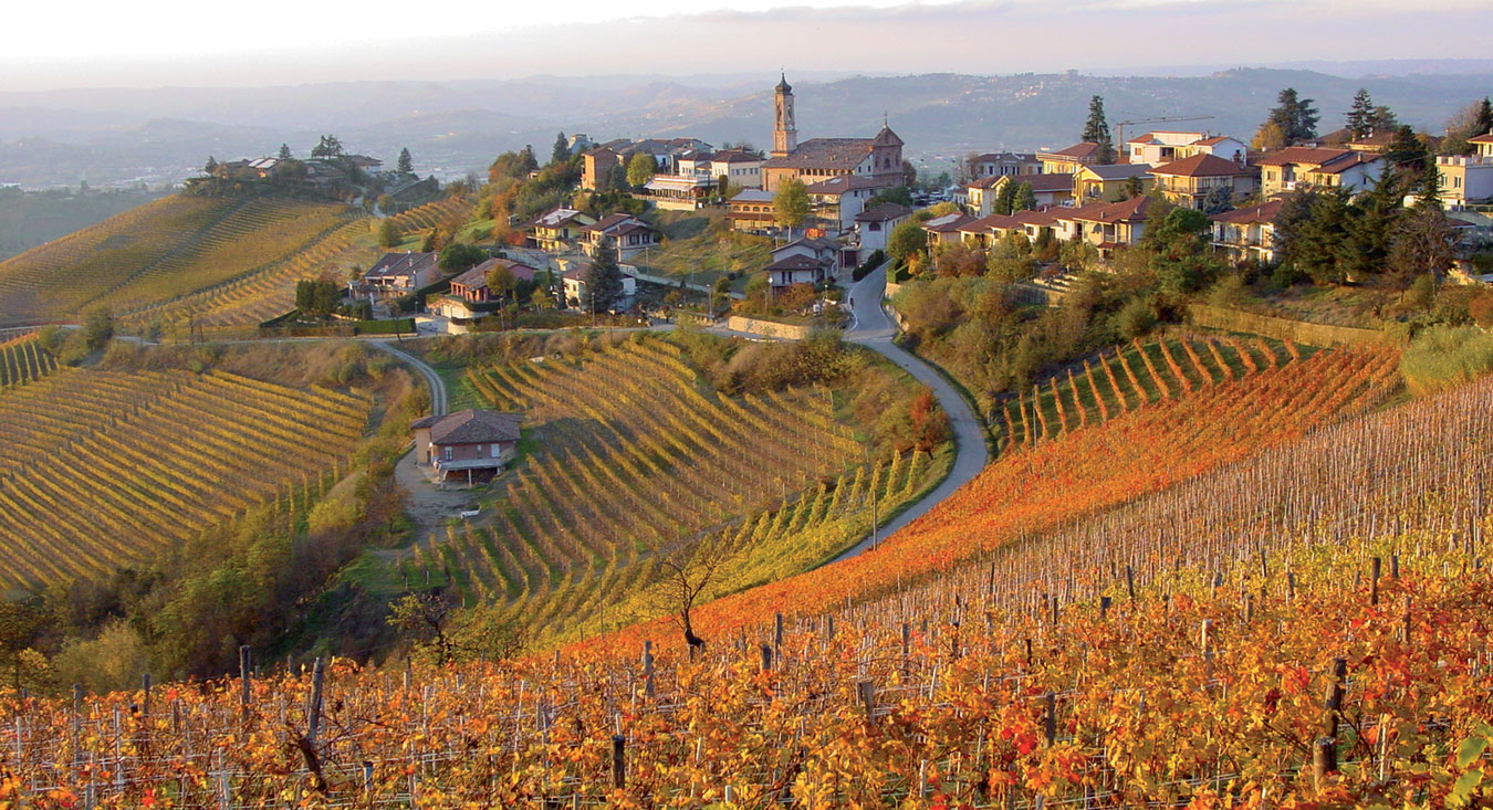 Le langhe e i vini Piemontesi