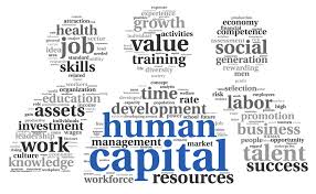 D.B. Group valorizza il talento con la soluzione di Human Capital Management di Talentia Software  